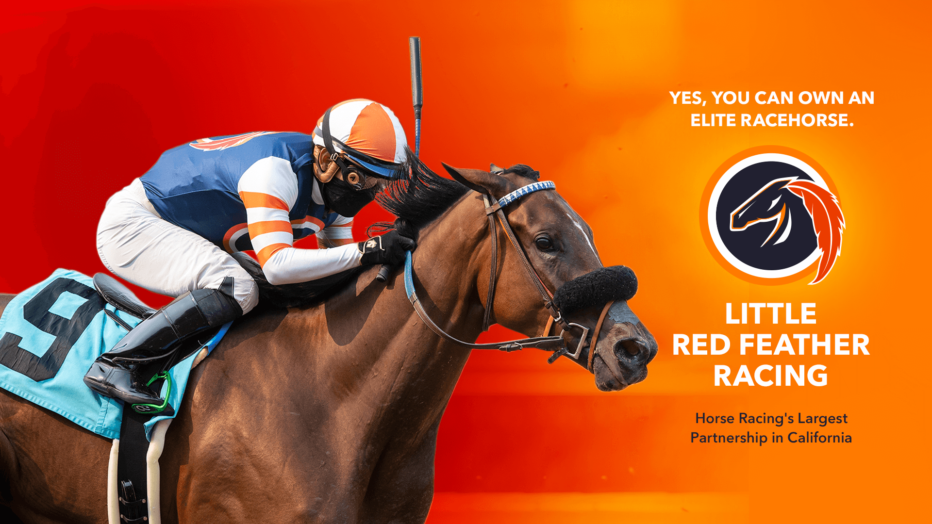 Yes, You Can Own An Elite Racehorse. - Little Red Feather Racing