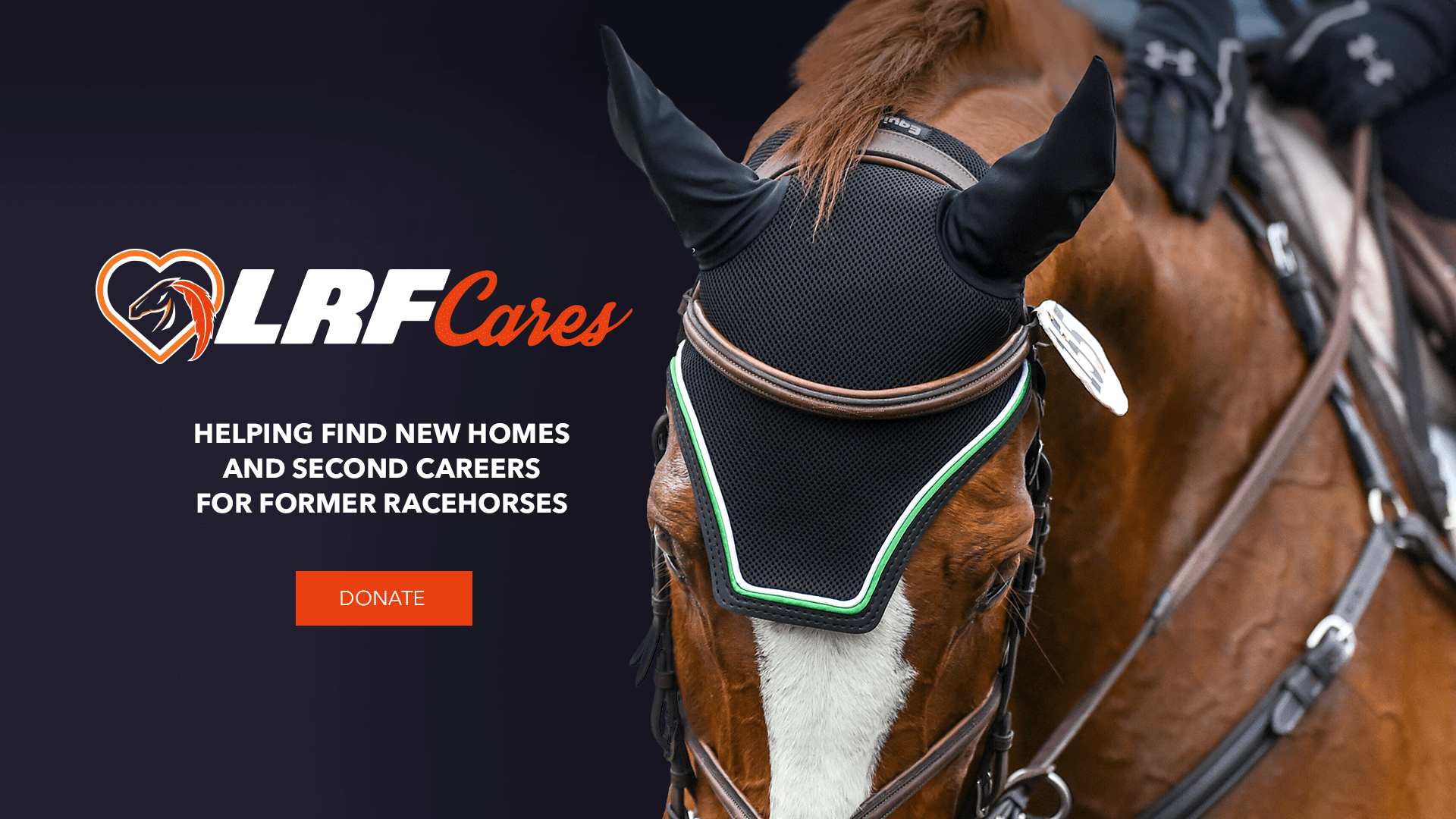 LRF Cares Helping Find New Homes And Second Careers For Former Racehorses