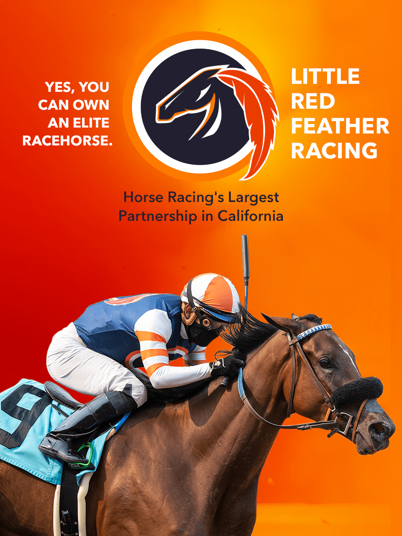 Yes, You Can Own An Elite Racehorse. - Little Red Feather Racing