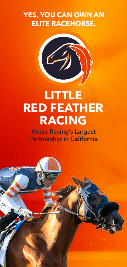 Little Red Feather Racing Club Thoroughbred Racehorse Syndicate