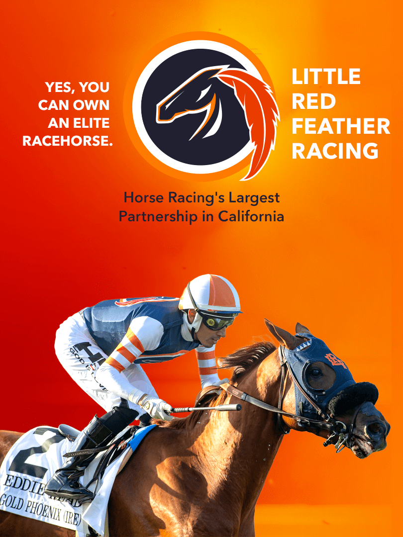 Yes, You Can Own An Elite Racehorse. - Little Red Feather Racing