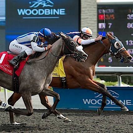 Little Red Feather Racing's Midnight Miley wins the $125,000 La Lorgnette Stakes
