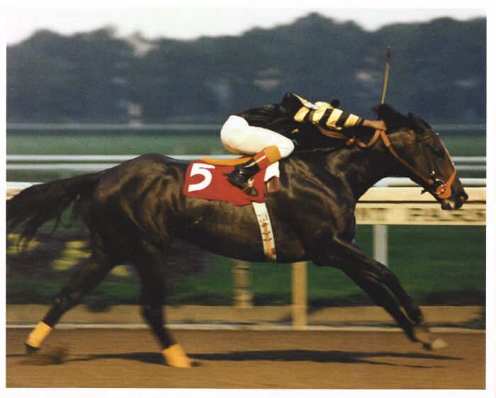 Seattle_Slew_Marlboro.jpg