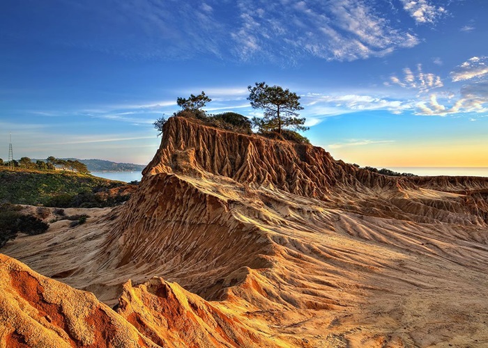 Torrey Pines