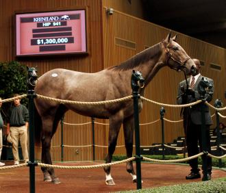 Horse racing partnerships spend millions of dollars at the Keeneland sale