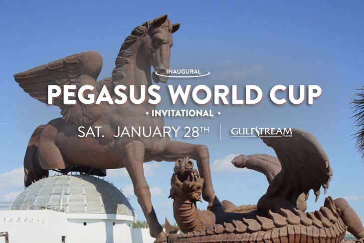 pegasus-world-cup-gulfstream.jpg